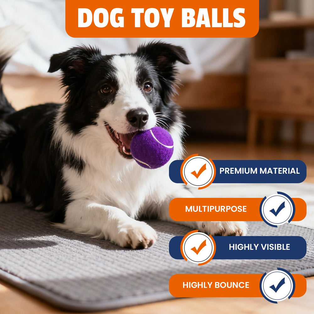 FURWEY teeth-friendly design supports gentle training sessions.
