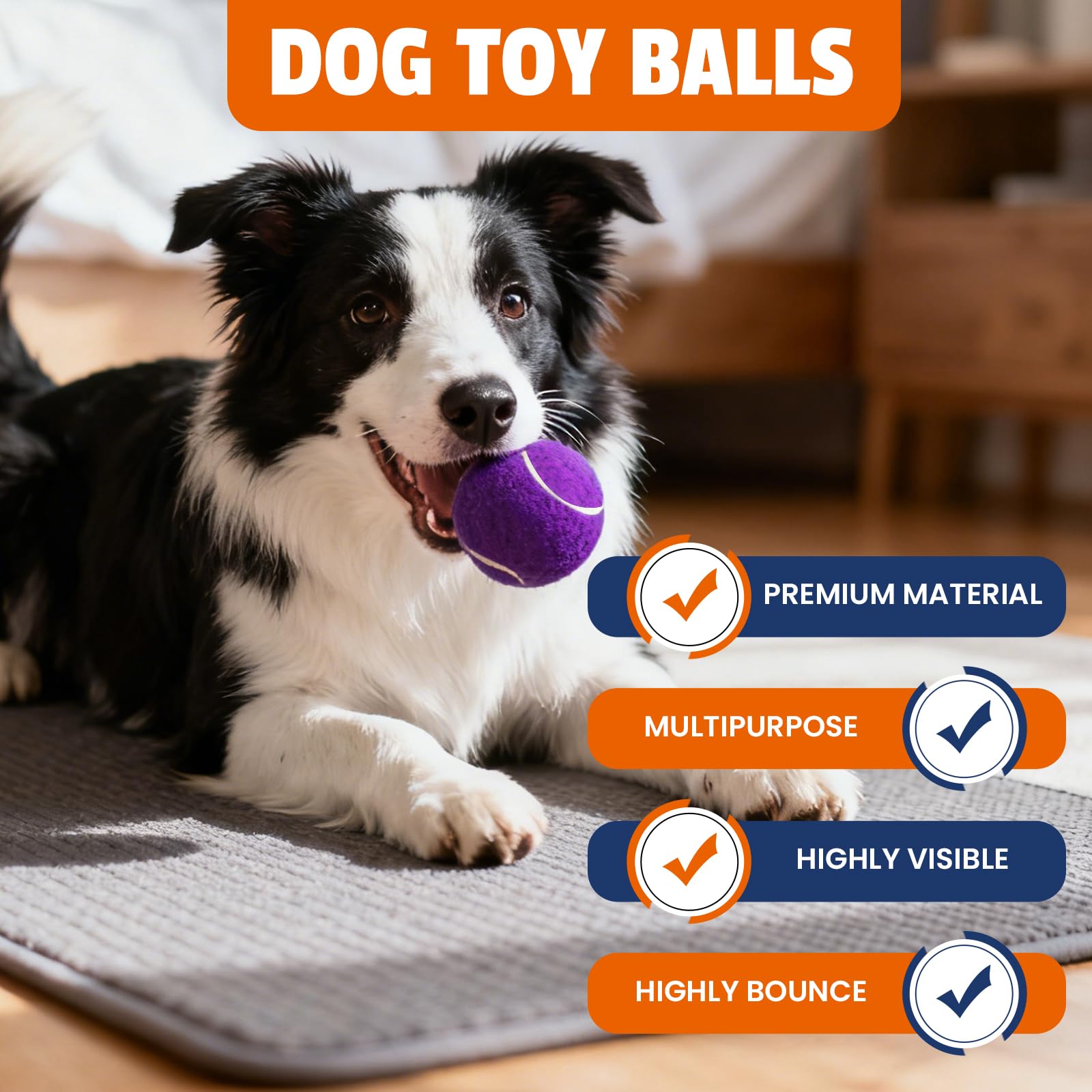 FURWEY non-squeaky design reduces noise during playtime