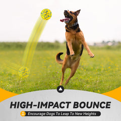 FUSOTO ball with bounce action improves active play for dogs