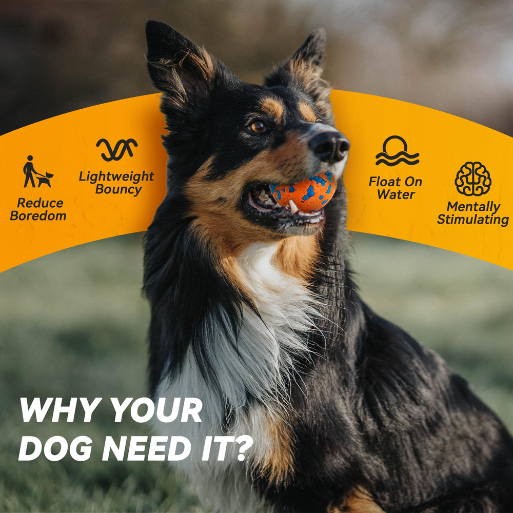 FUSOTO dog ball orange – interactive toy suitable for indoor and outdoor play.