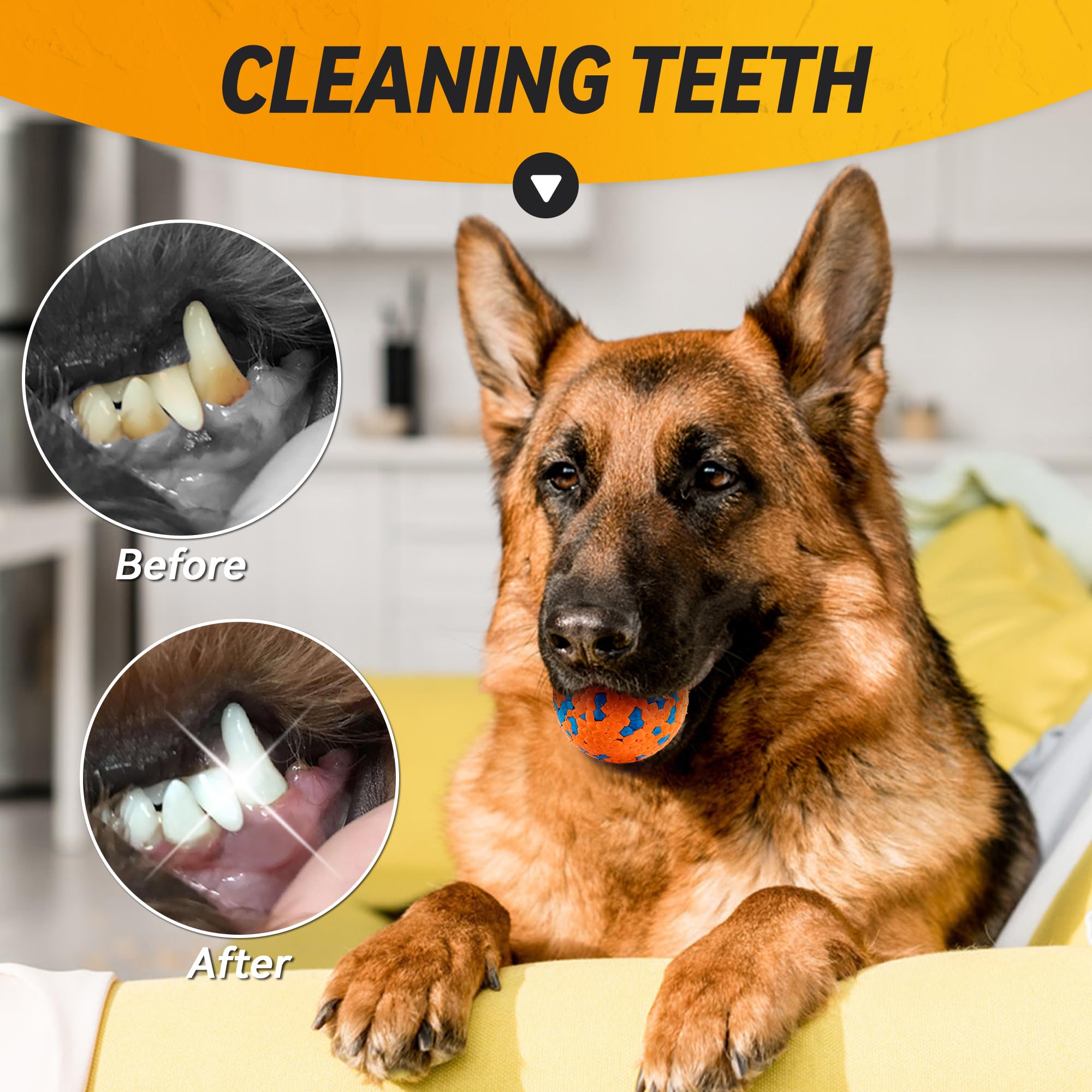 FUSOTO dog ball orange – easy cleaning after play sessions.