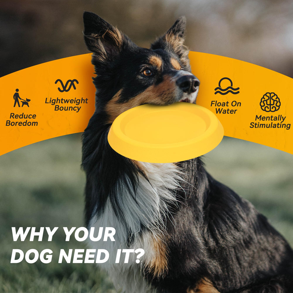 FUSOTO Dog Discs Toy supports active play and bonding with owners