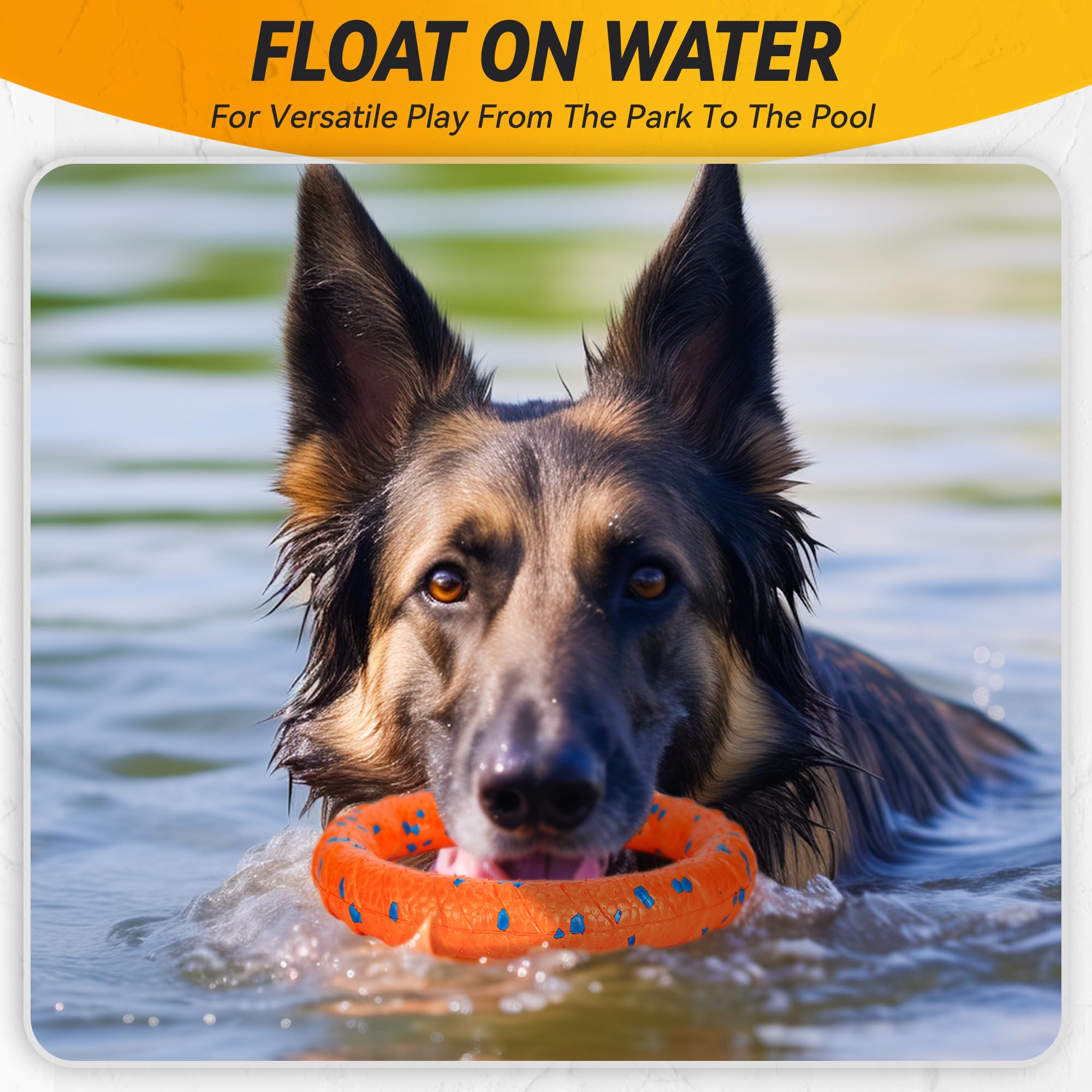 FUSOTO Dog Ring Toy textured surface supports easier pickup and teeth cleaning.