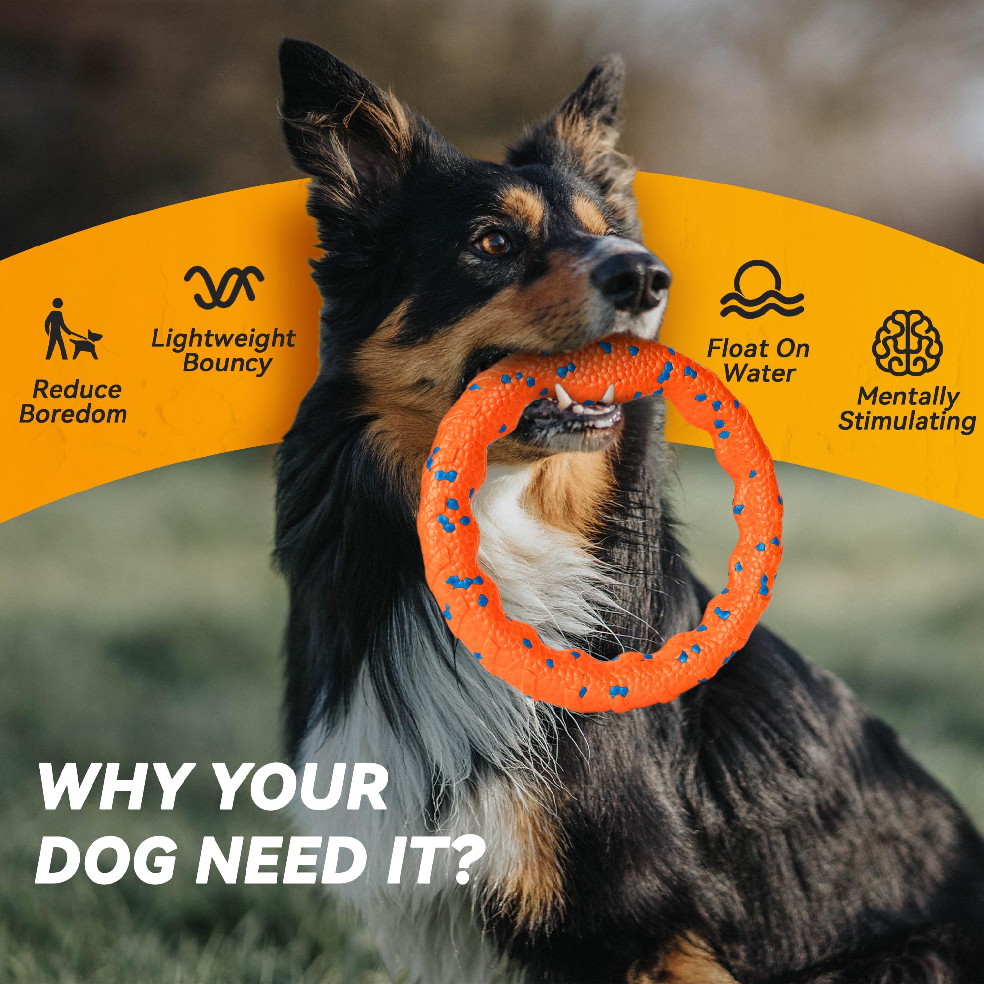 FUSOTO Dog Ring Toy ideal for water training and lake adventures.