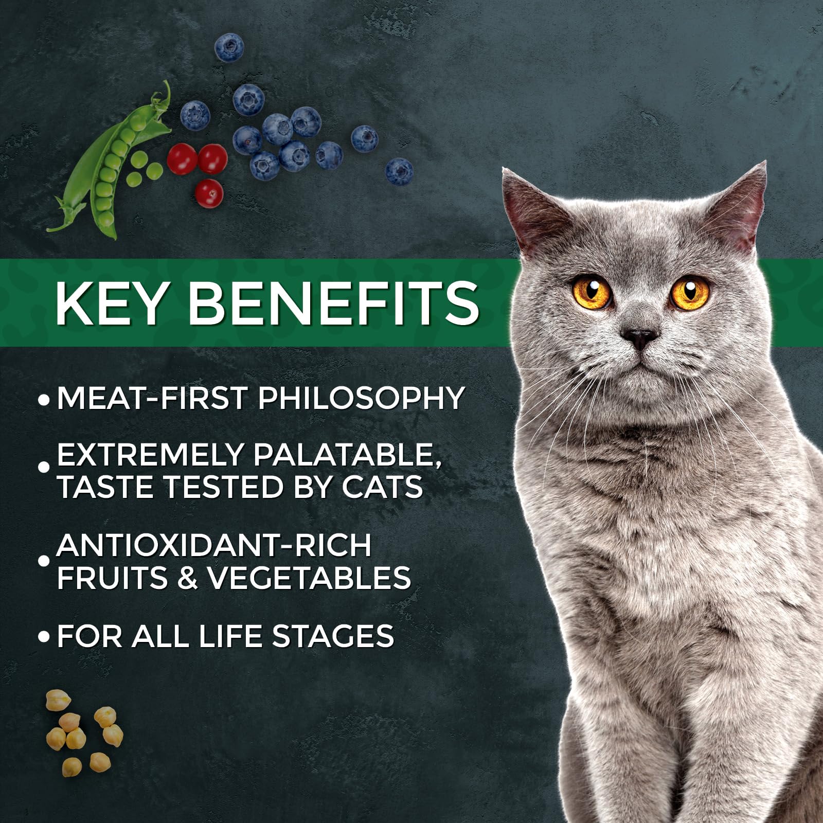 Fussie Cat Market Fresh serving size demo illustrates easy daily portions.