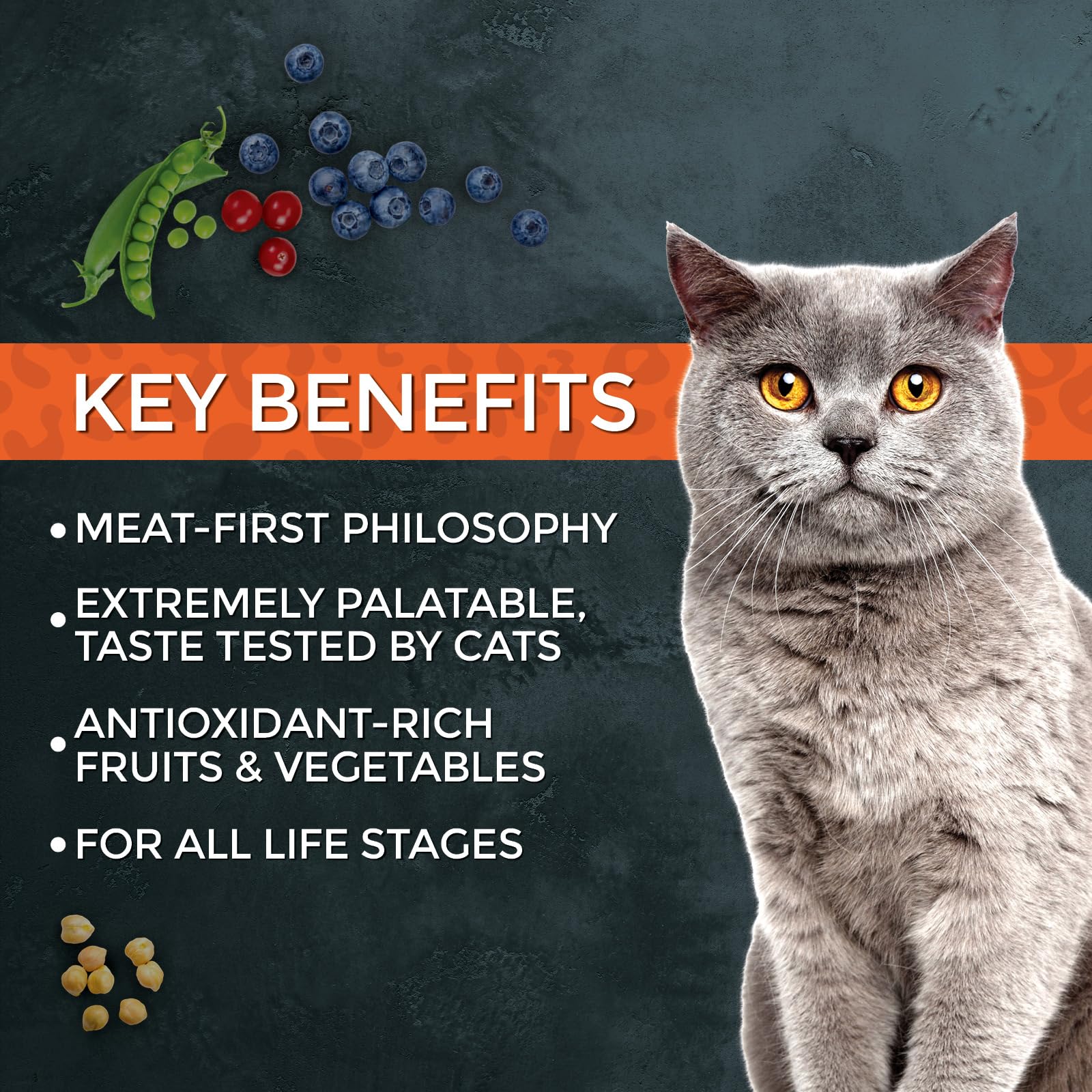 Cat eating Fussie Cat Market Fresh Turkey Recipe in a bowl