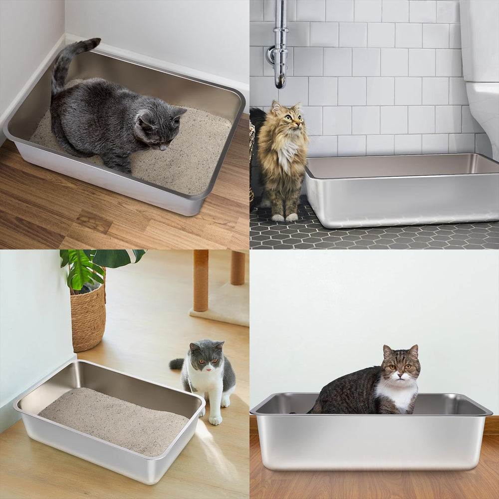 FUTAM two-pack setup for travel or multi-cat homes