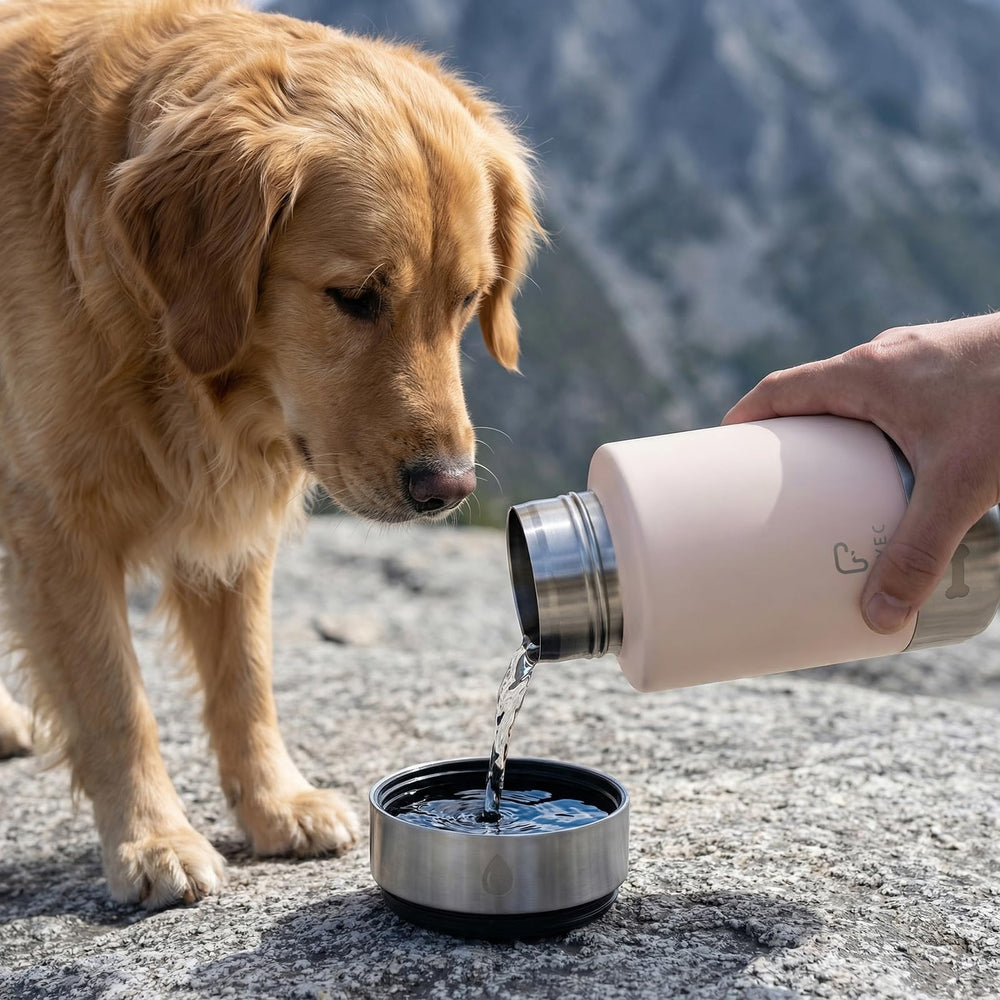 FUYEC 304 stainless construction ensures durable, safe hydration