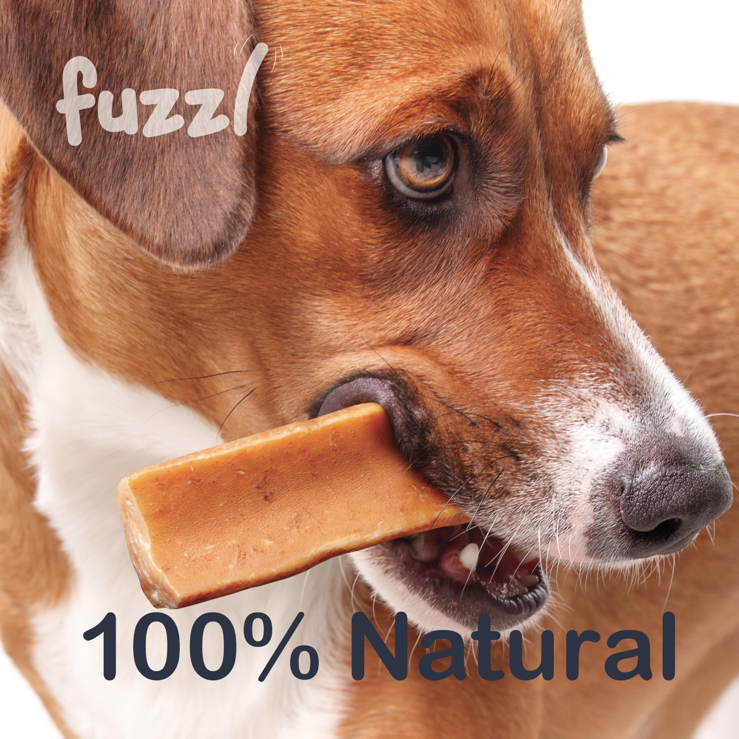 Dog enjoying Fuzzl Yak Chews with Blueberry as a dental-friendly option.