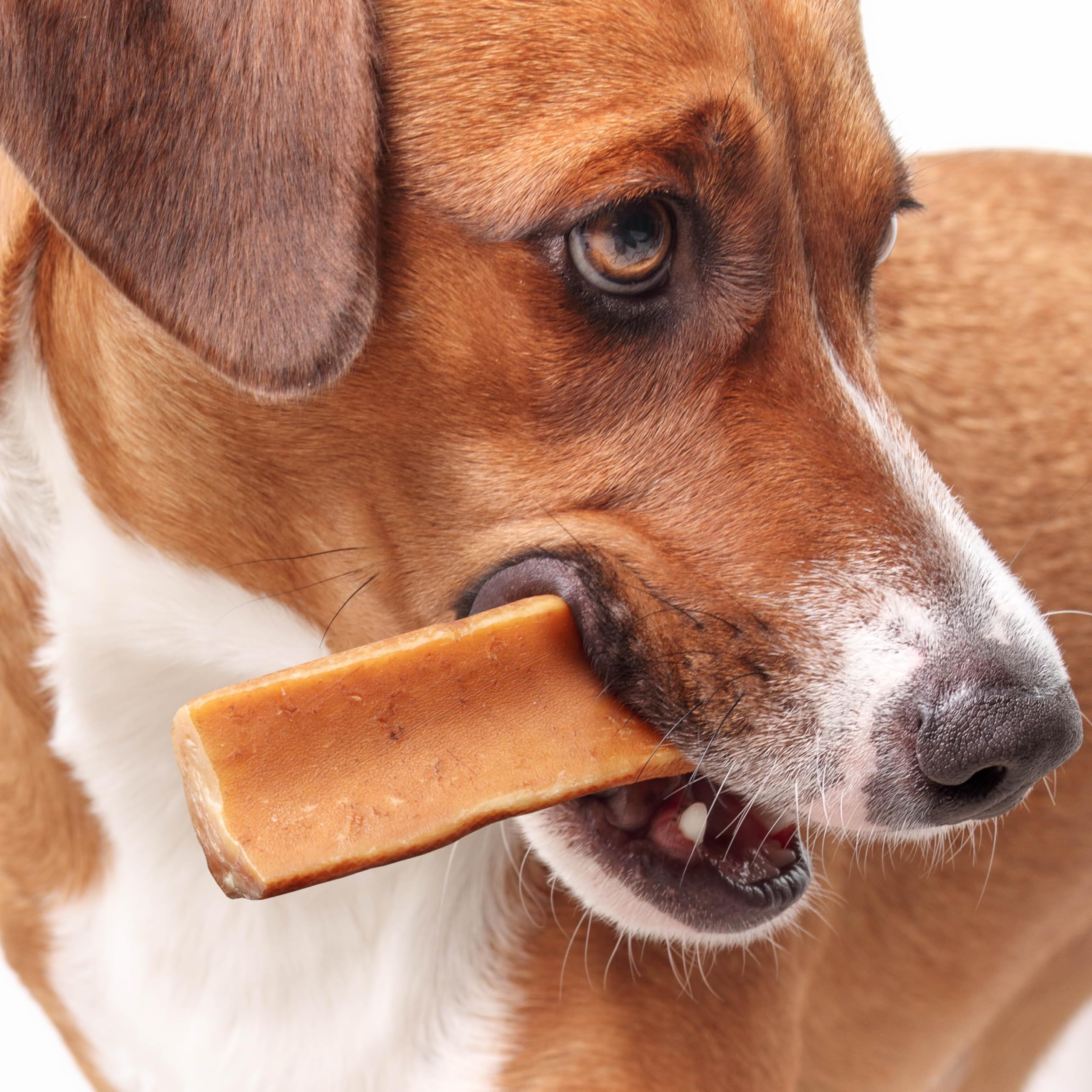 Fuzzl Yak Chews peanut butter close-up, protein-rich treat for dogs.