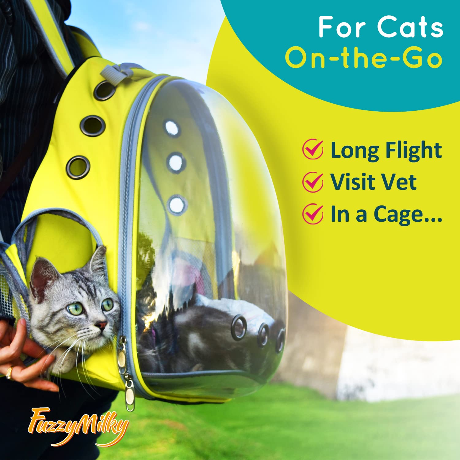 FuzzyMilky 4-week supply visible emphasizes long-lasting comfort.