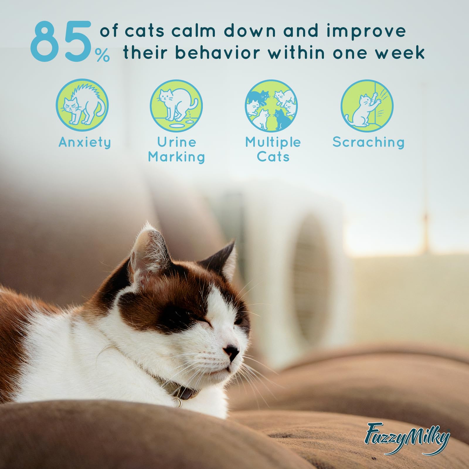 FuzzyMilky Cat Diffuser Gel used in car travel for comfort