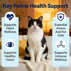FW ZONE VitaTaurine Pro heart-health icon communicates heart support potential.