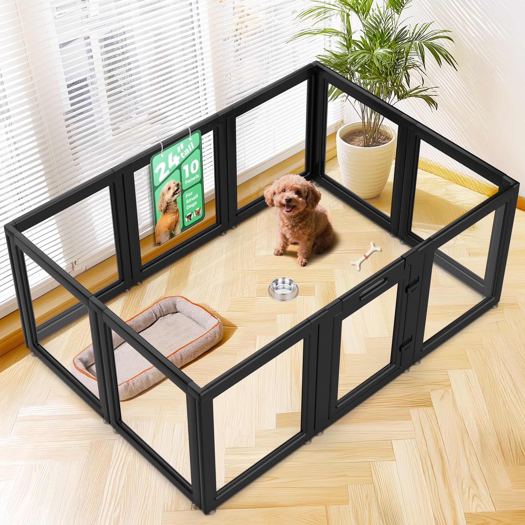 FXW AuraSpace assembled view shows a roomy interior for small dogs.