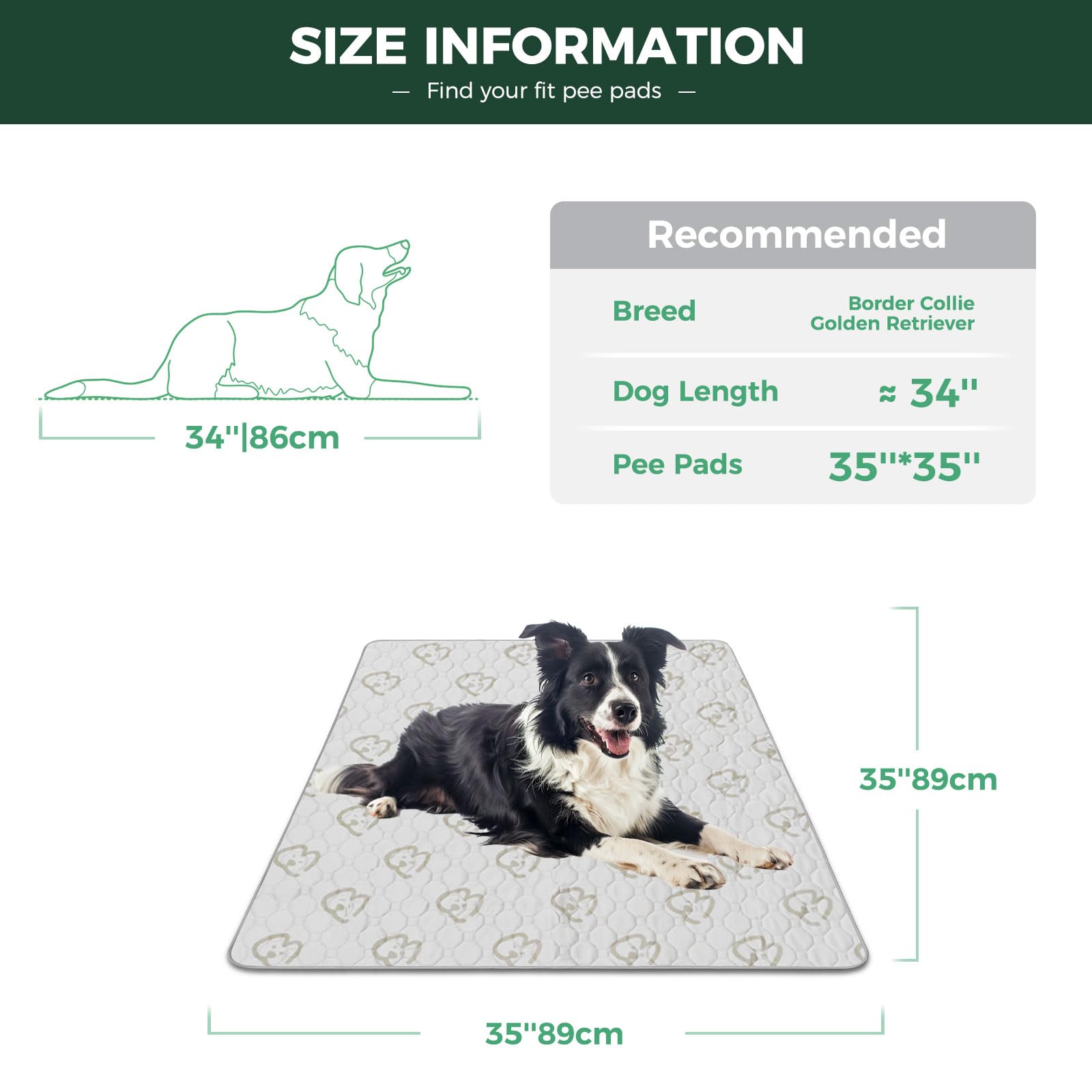 FXW dog pad with waterproof shield protects floors and furniture