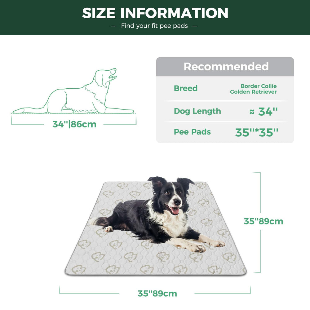 FXW dog pad with waterproof shield protects floors and furniture
