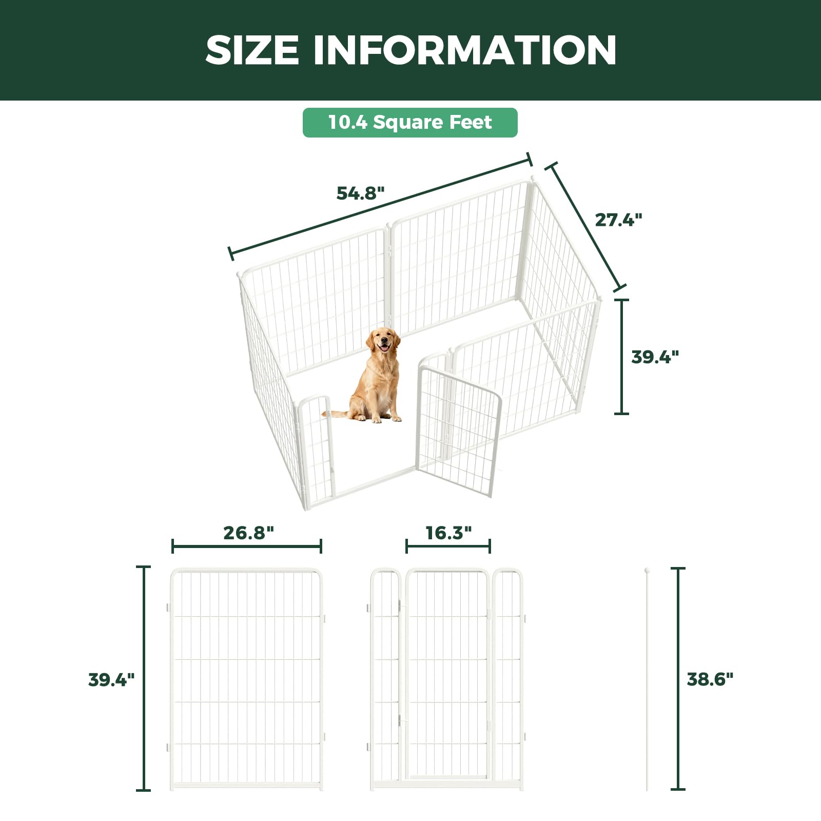 FXW Homeplus Unleashed safe-layout keeps dogs contained during training and play.