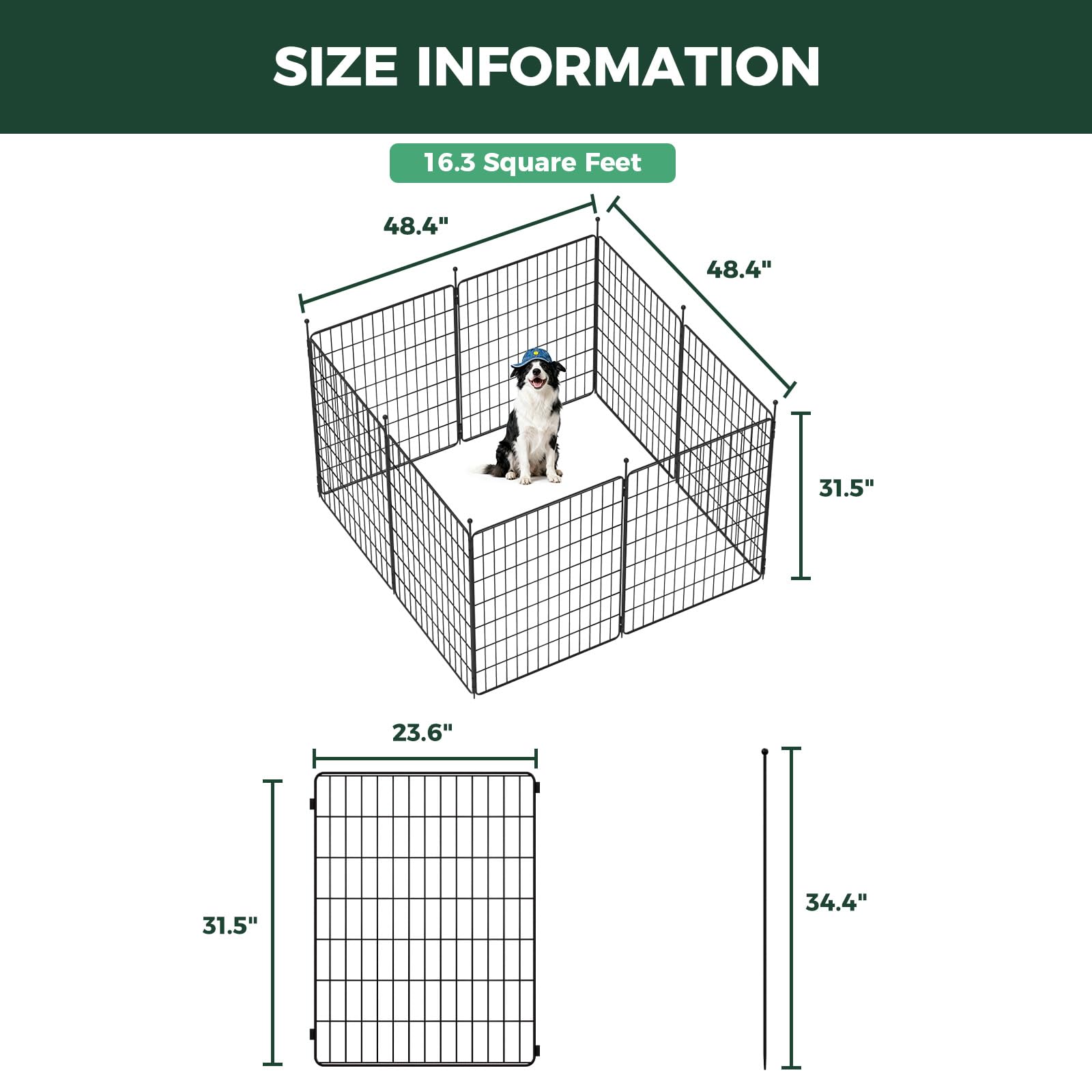 FXW MiniPaws suitable for small to medium dogs at home or on trips.