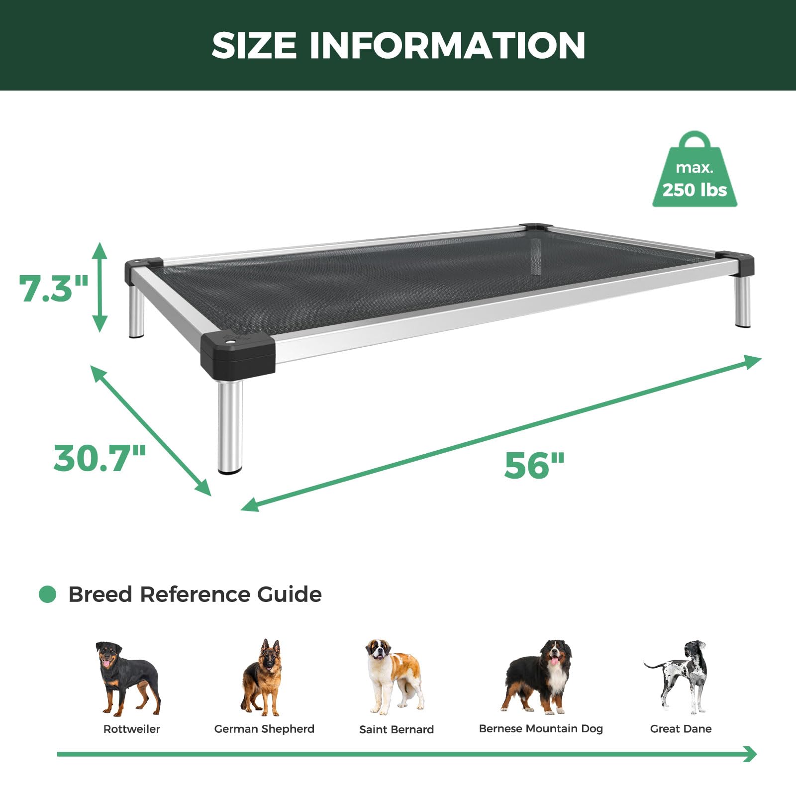 FXW TitanNest extra-large bed supports big breeds up to 100 lbs