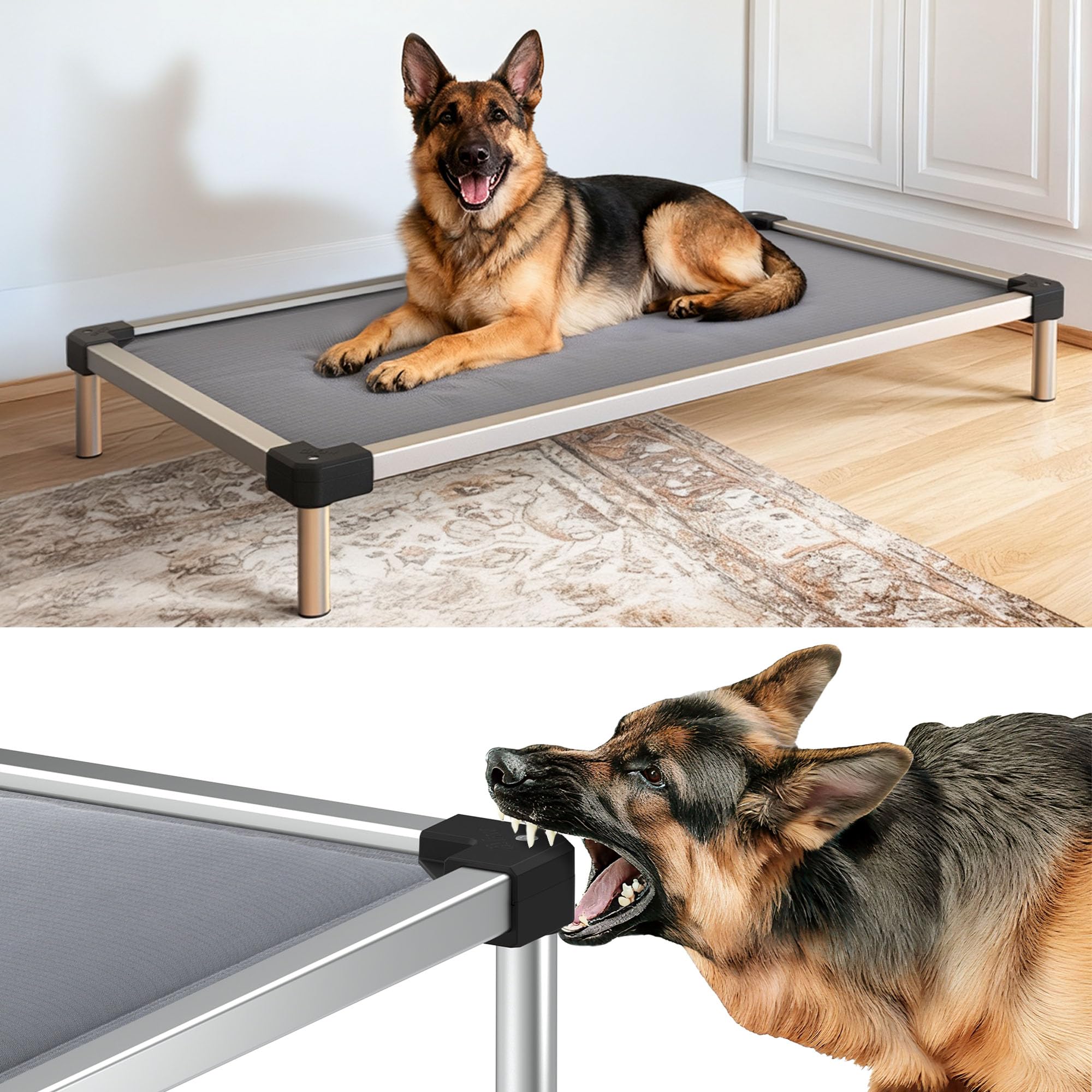 FXW TitanNest chew-proof bed frame with durable edges for strong chewers.