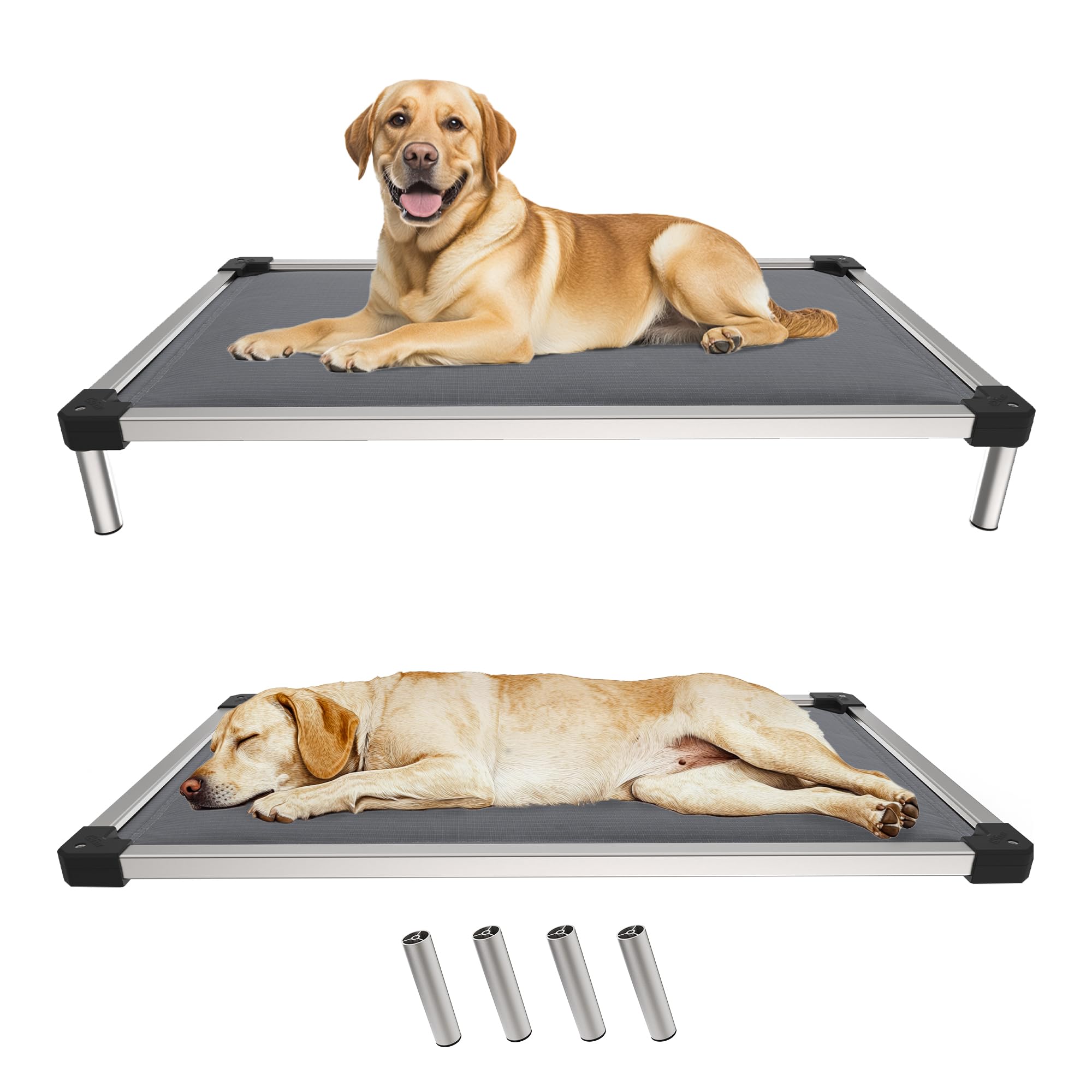 FXW TitanNest chew-proof edges visible, designed to endure strong chewers.