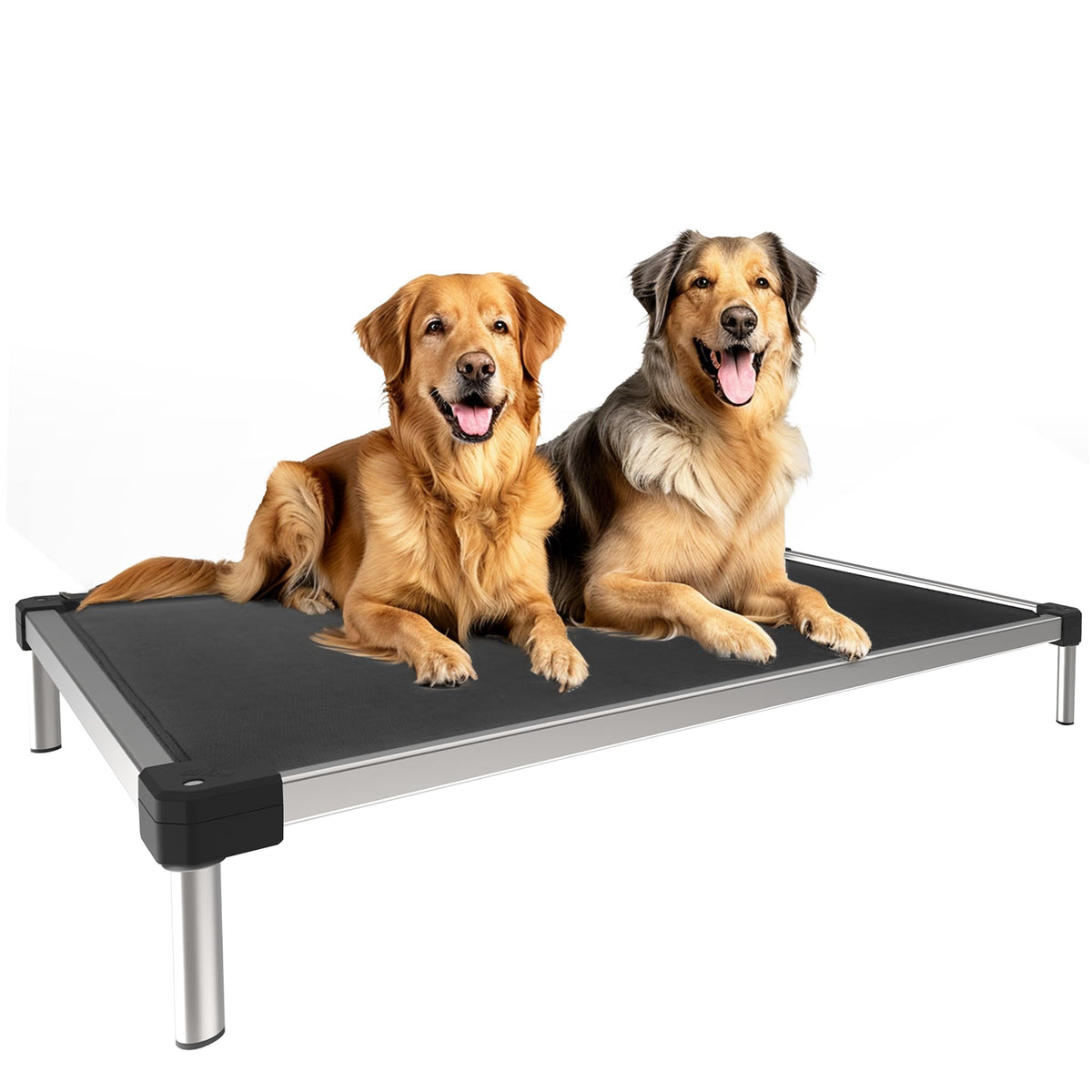 FXW TitanNest chew-proof elevated dog bed for XL dogs with durable design