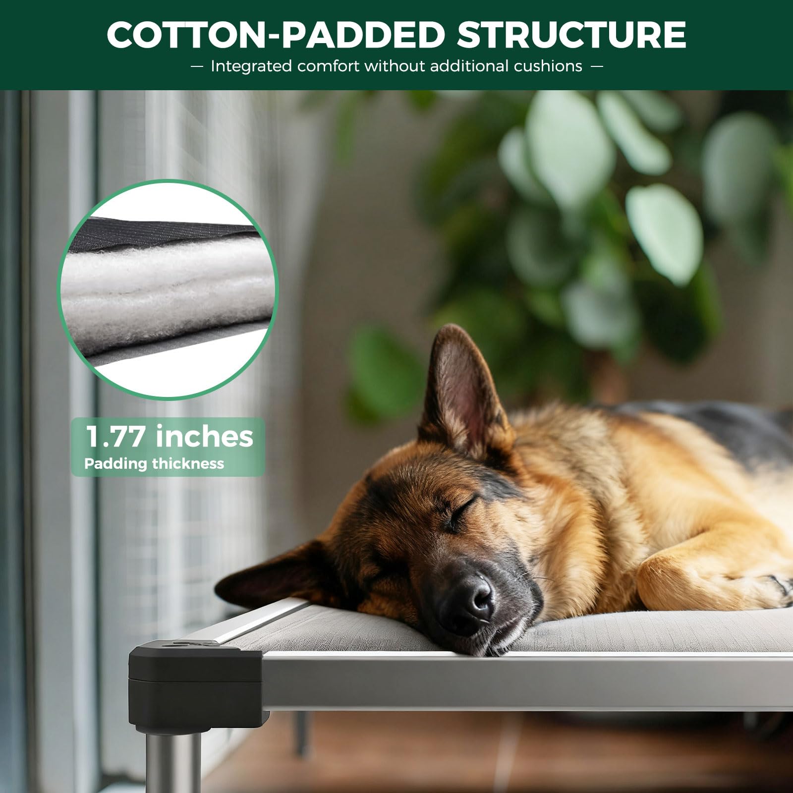 FXW TitanNest heavy-duty steel frame providing robust support for large dogs.
