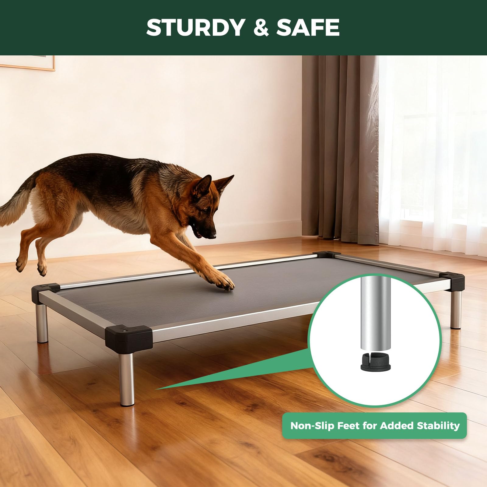 FXW TitanNest portable dog bed designed for travel and camping use.