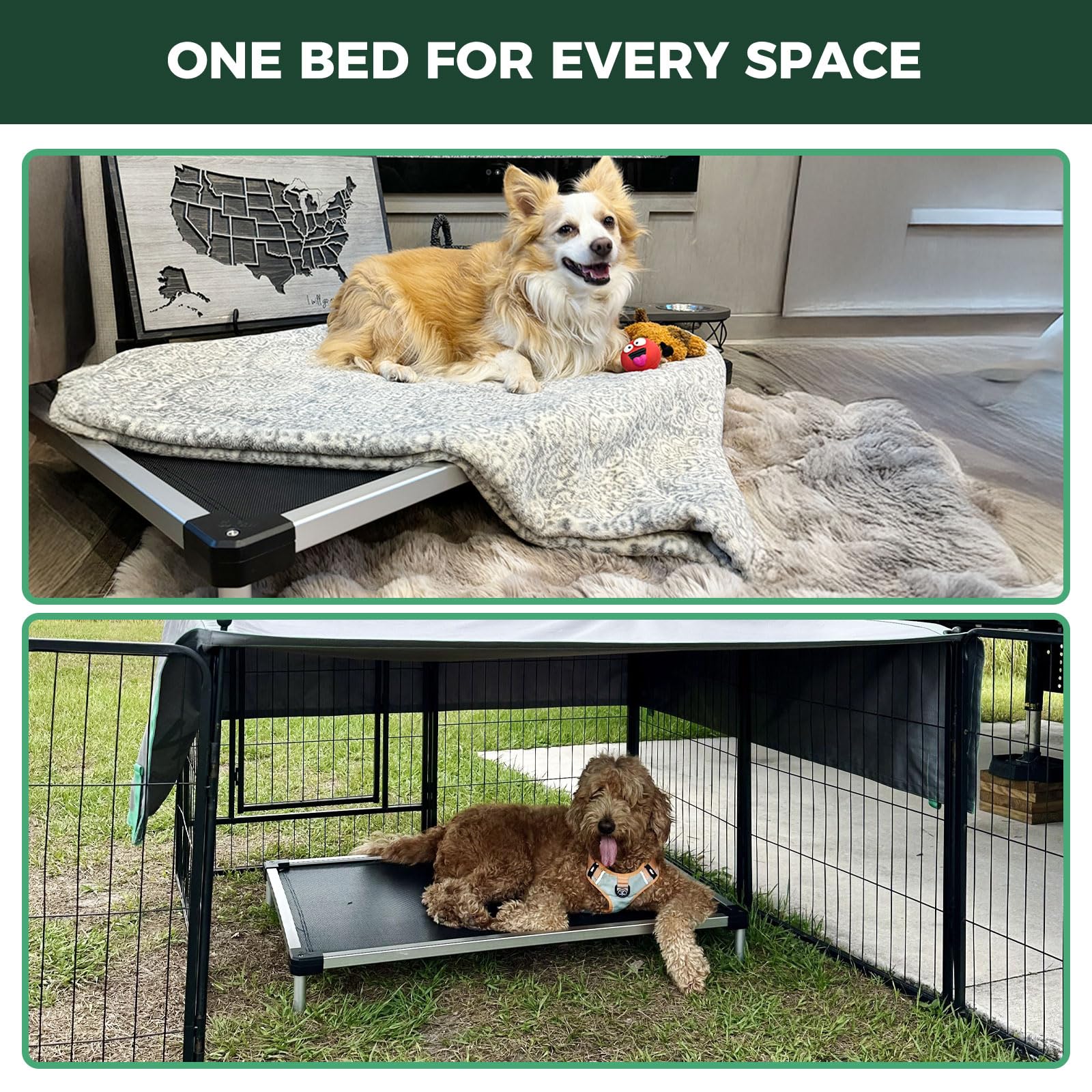FXW TitanNest portable elevated bed ideal for home and travel