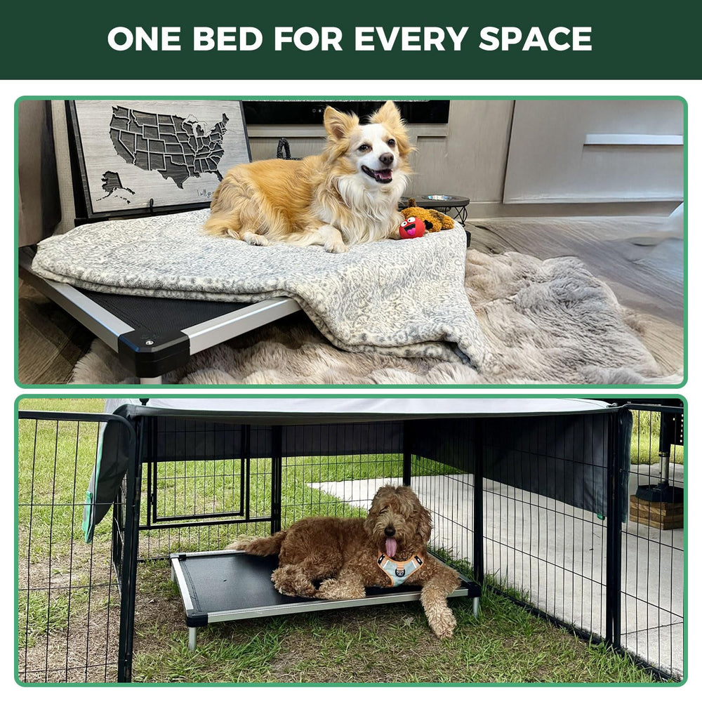 FXW TitanNest portable elevated bed ideal for home and travel