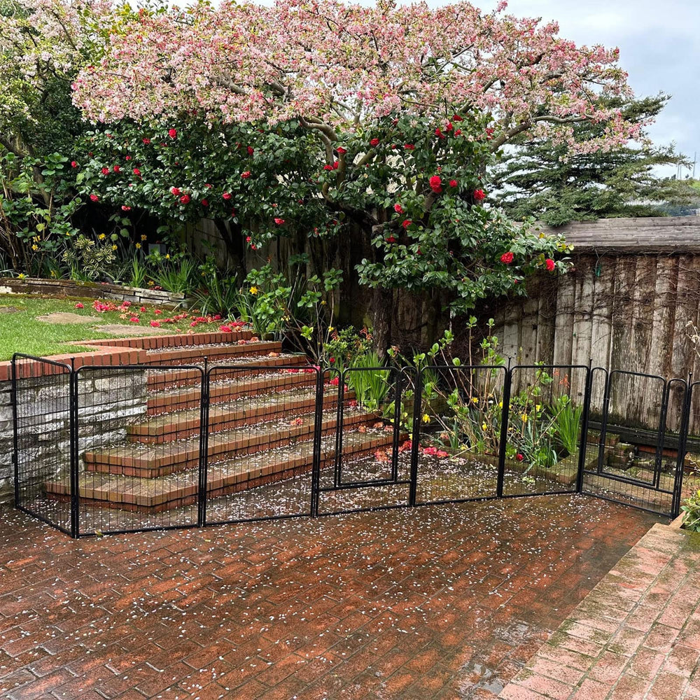FXW wall-fence connection enhances safety and prevents escapes.