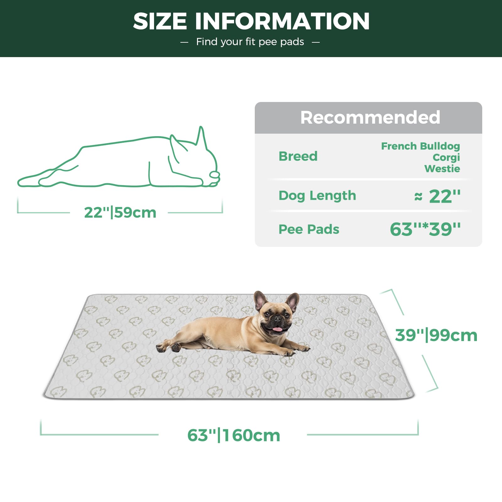 FXW pad with waterproof shield locks in moisture and guards floors.