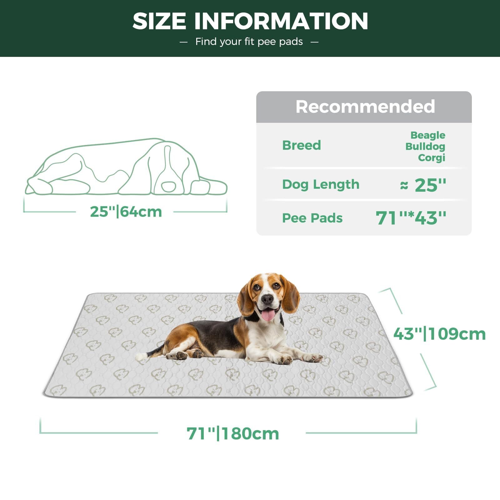 FXW pee pad shows waterproof shield to prevent leaks.