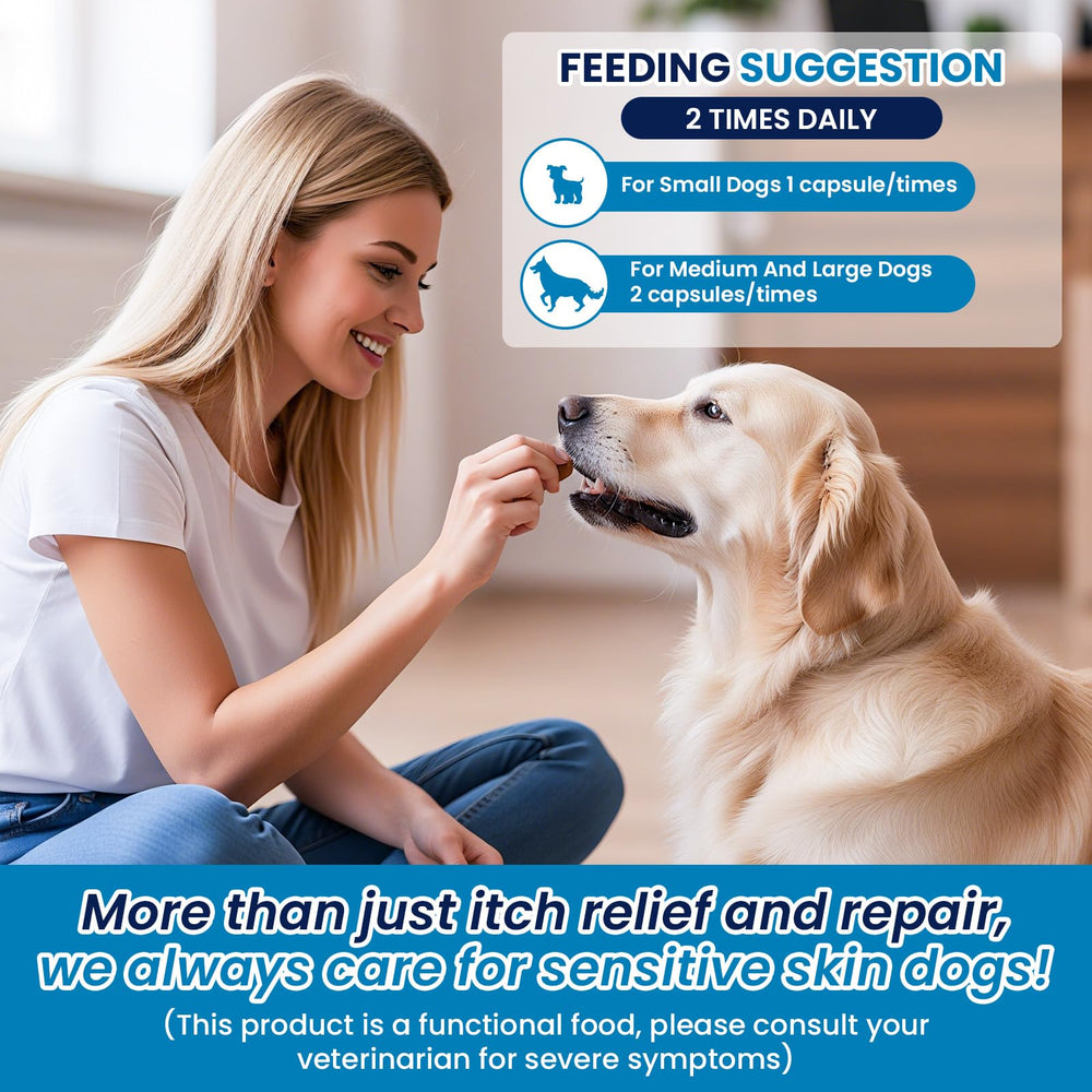 FXZRQJ dog allergy chews benefits graphic showing skin support