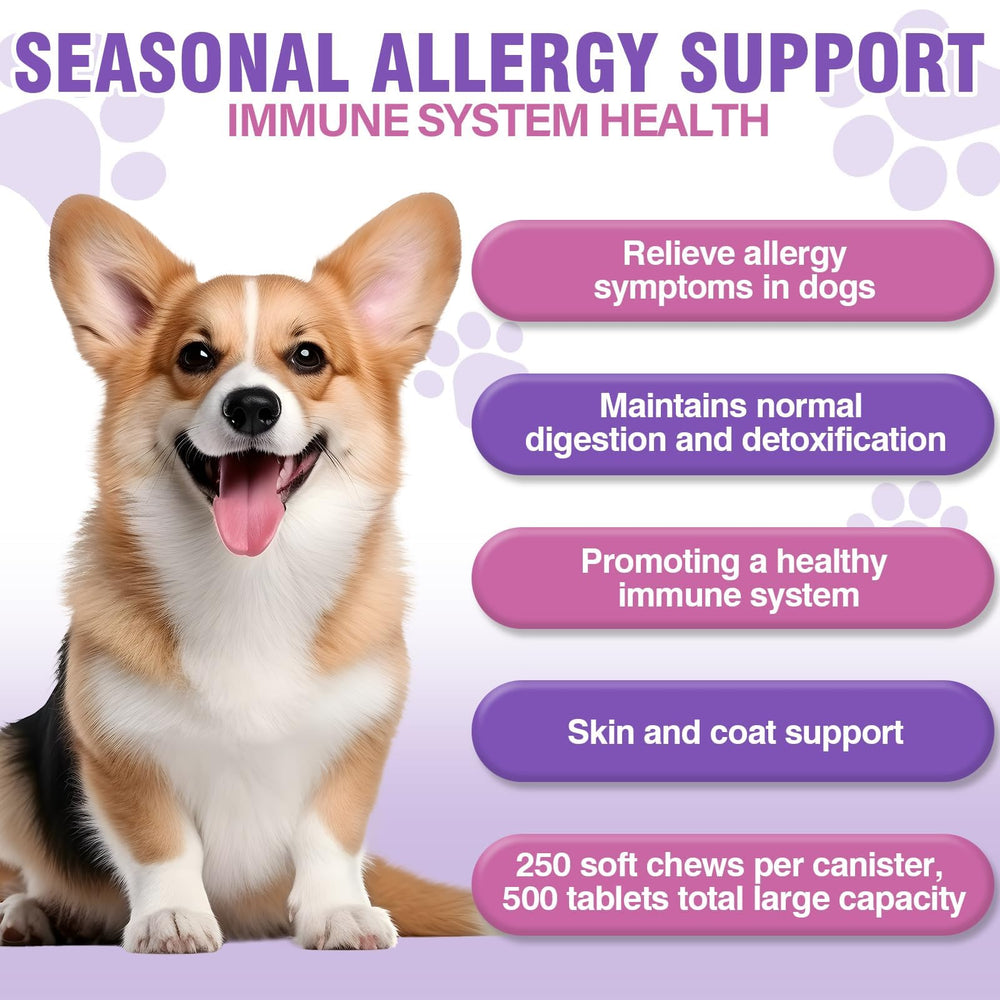 FXZRQJ Dog Allergy Chews bottle label highlighting allergy relief and immune support