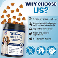 FXZRQJ dog allergy chews daily-use serving shown for routine care