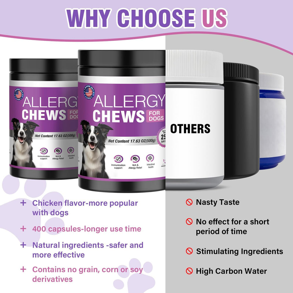 FXZRQJ Dog Allergy Chews in bowl for easy feeding and daily immune support