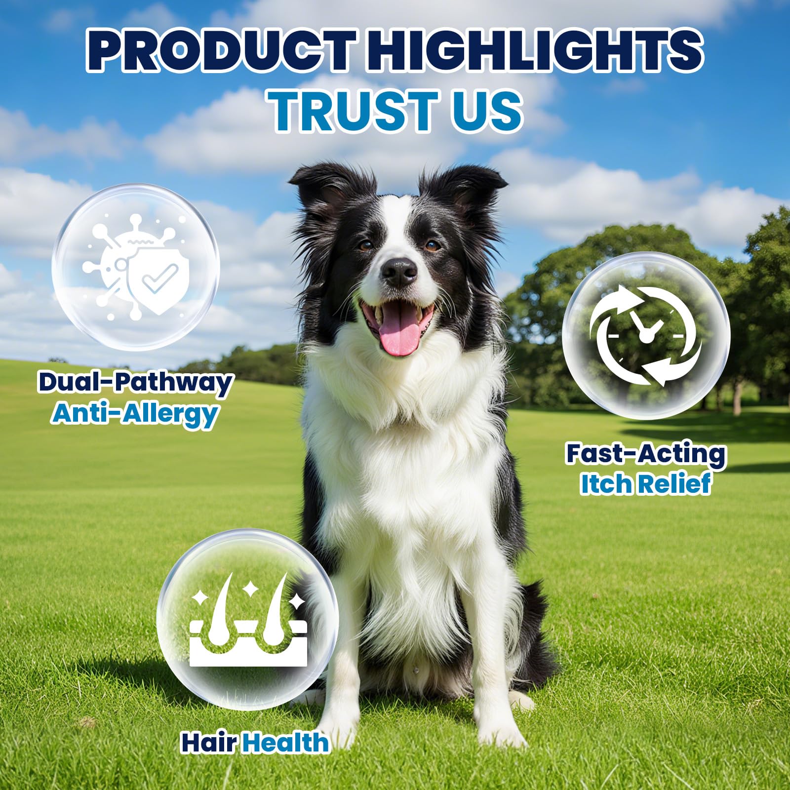 FXZRQJ probiotic dog bites illustrating gut health support