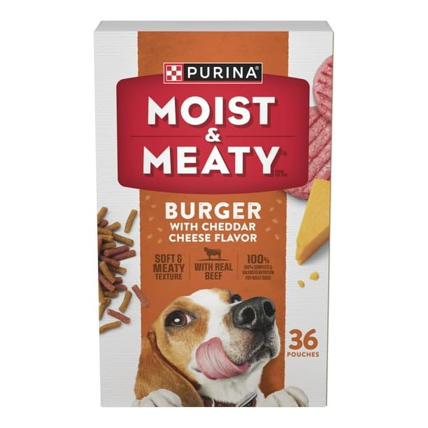 FYNORI burger-cheddar-flavor pouch front showing real beef flavor for adult dogs.