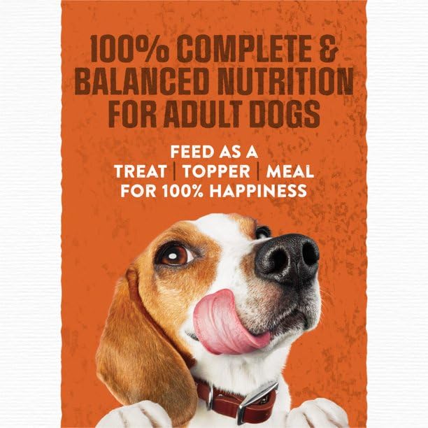 FYNORI dog meal serving in bowl demonstrates easy feeding routine.