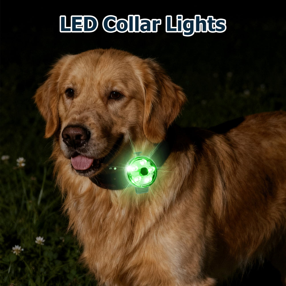 Fyorbietail secure attachment keeps light attached to the collar.