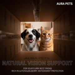 FYRKOA Aura Pets dog outdoors with clear eye expression