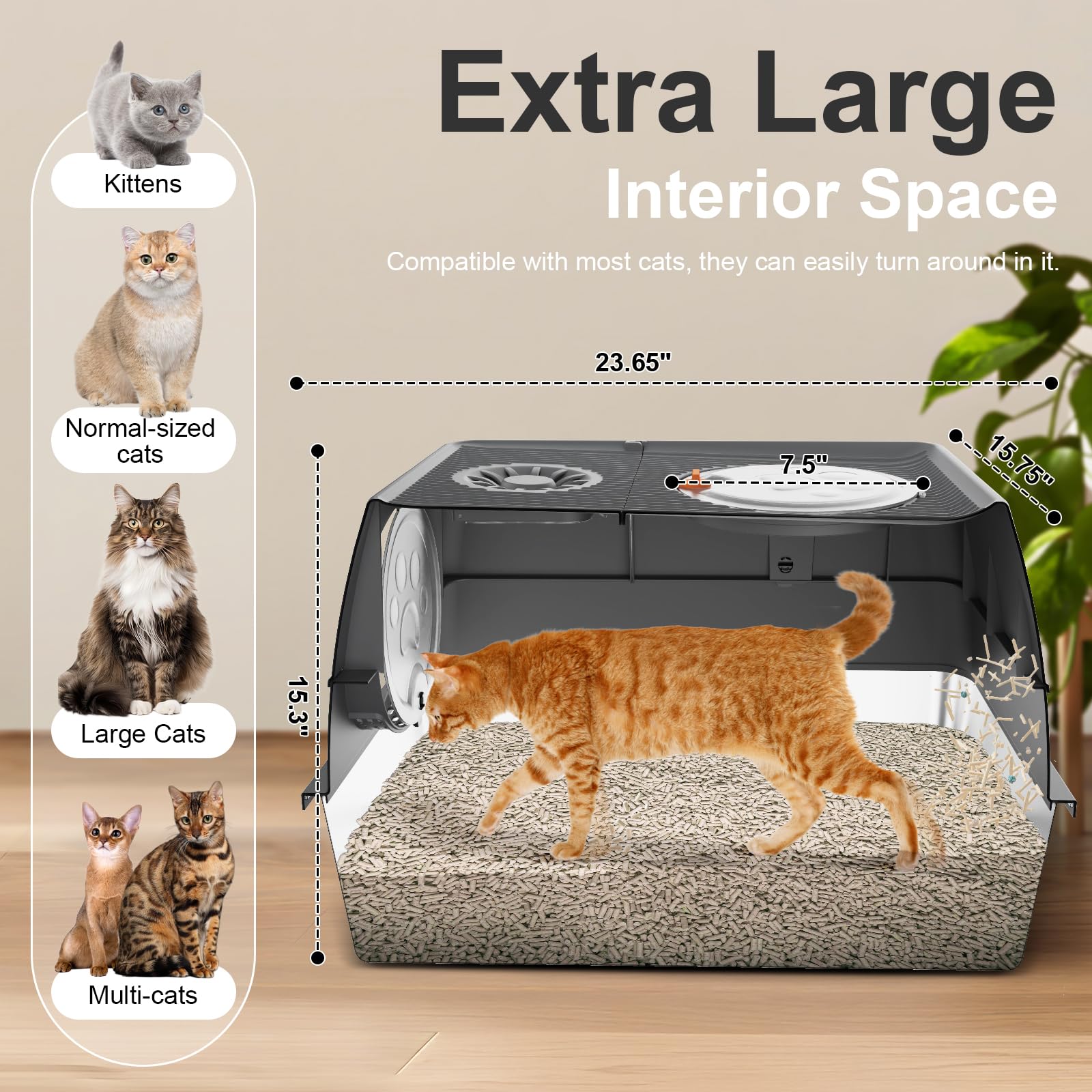 Enclosed configuration provides privacy for big cats and odor control.