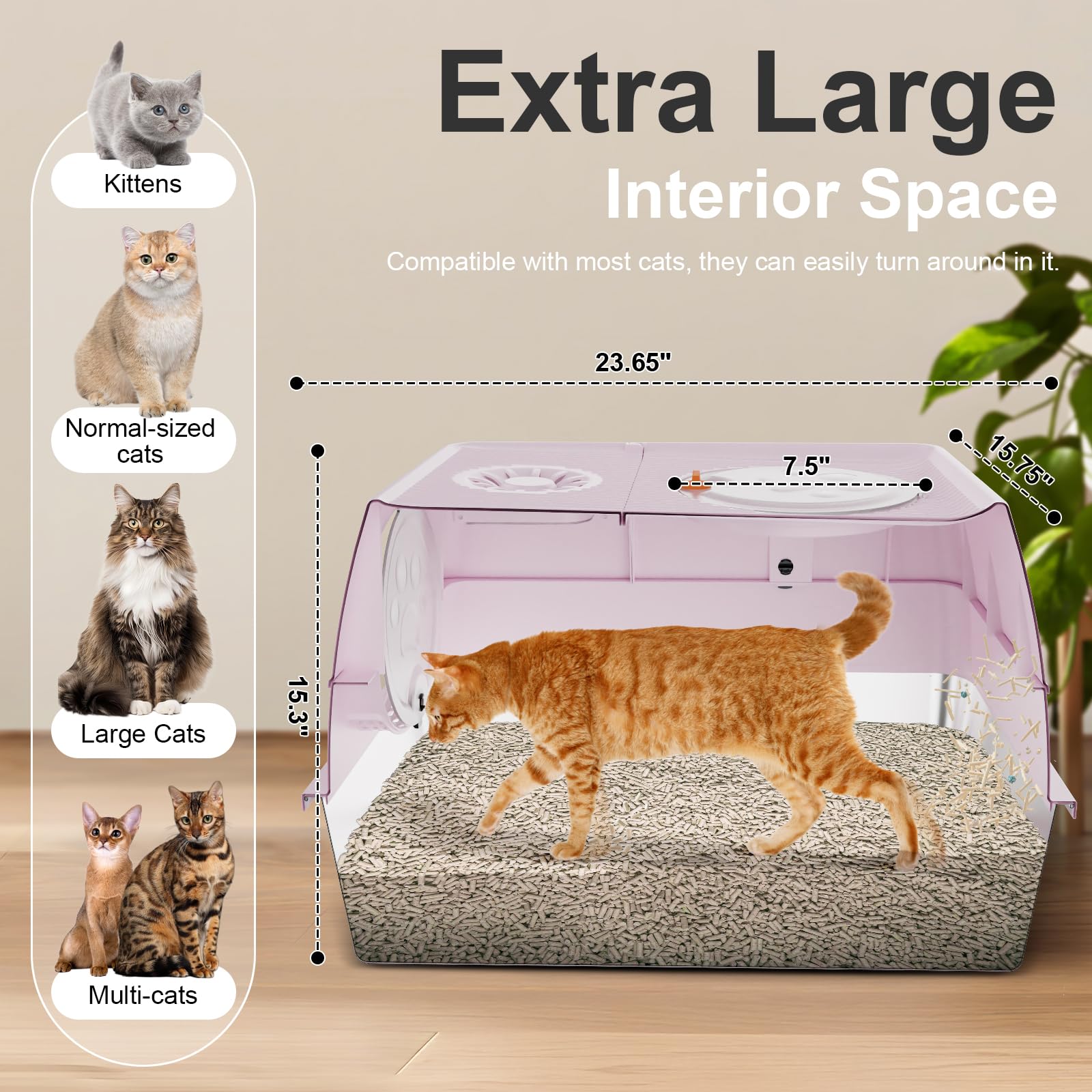 FZGhome XL top-entry litter box interior view, spacious for big cats