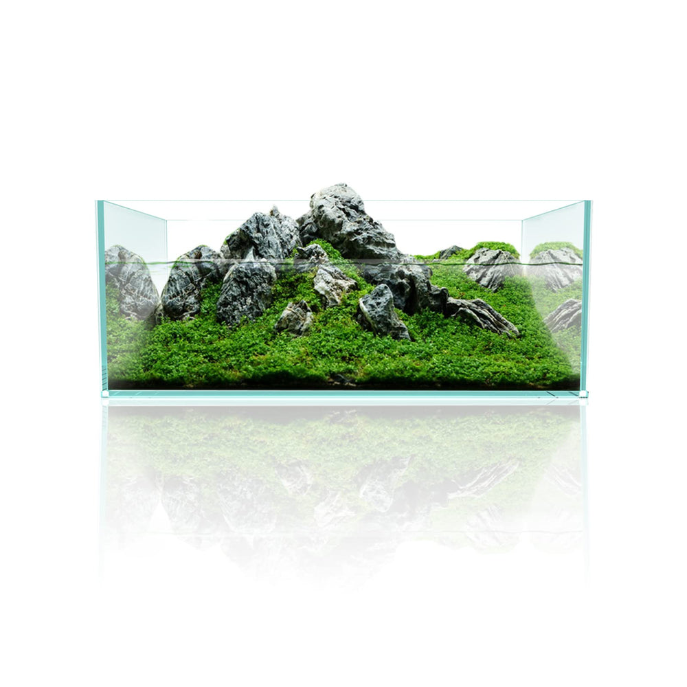 FZONE Anata NovaClear edge detail with 45-degree corners for strength and smooth lines