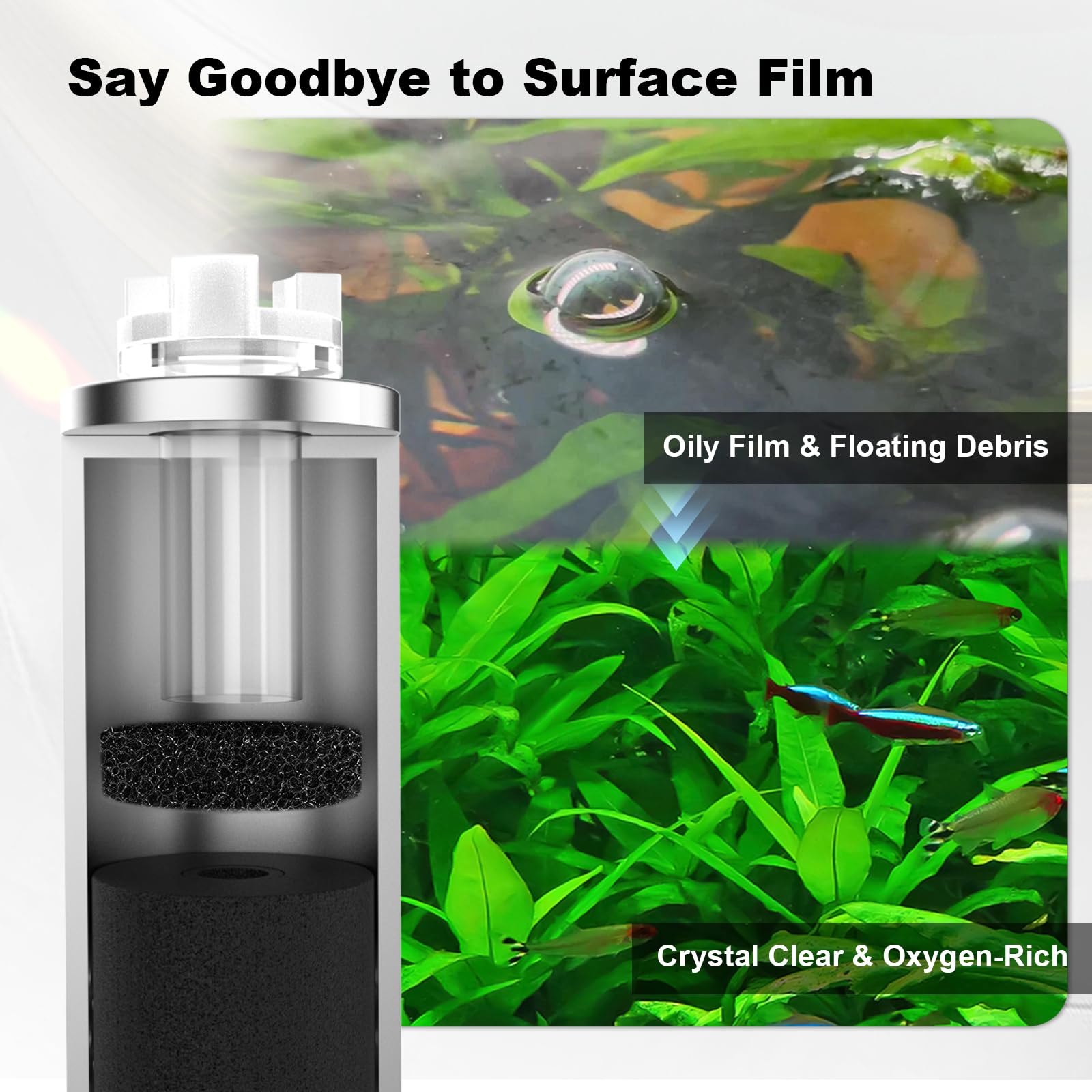 FZONE suction cup mounting keeps skim safe and secure in place