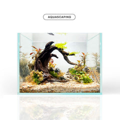 Soaking deepens FZONE driftwood color for natural variation