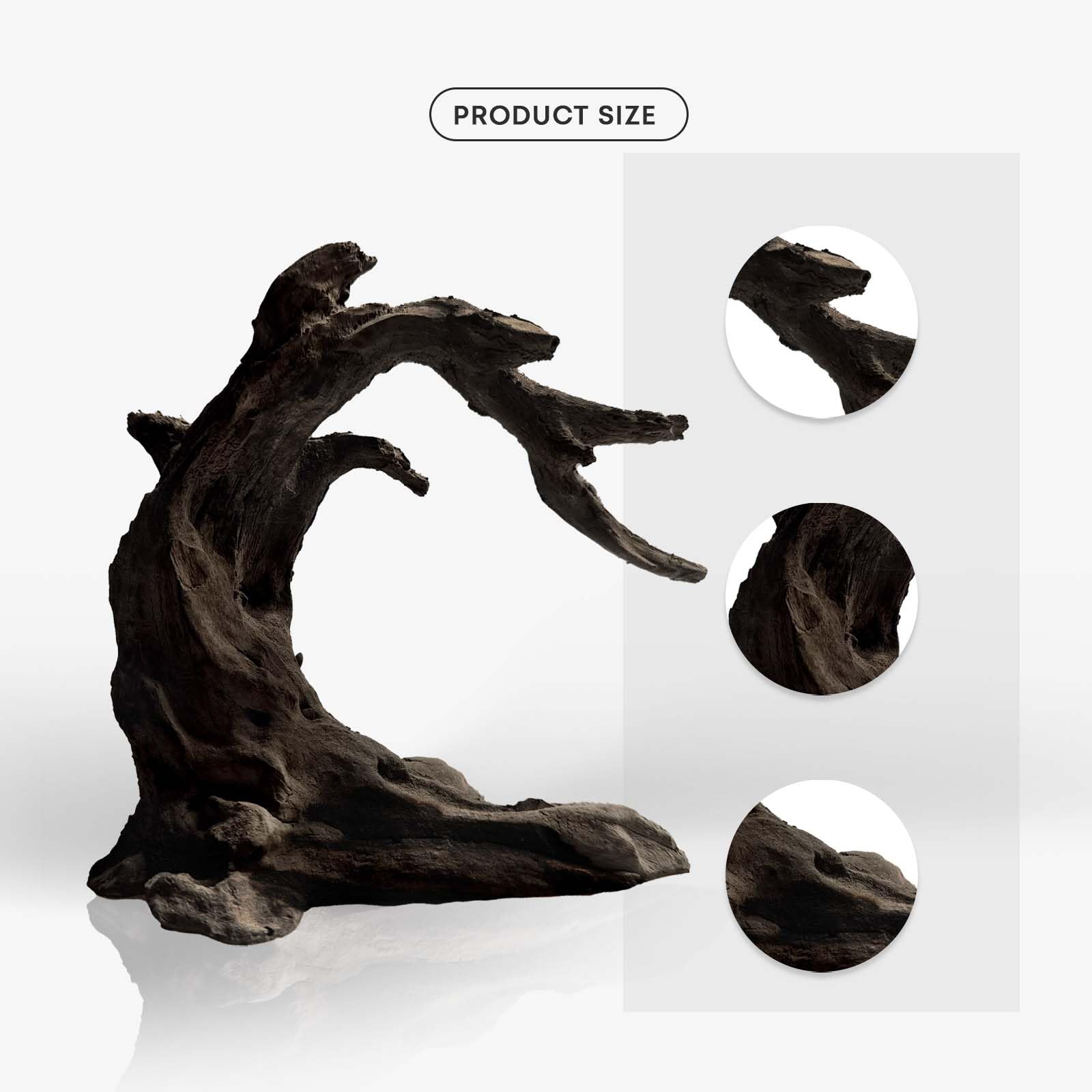 FZONE resin driftwood demonstrates aquarium safety for inhabitants