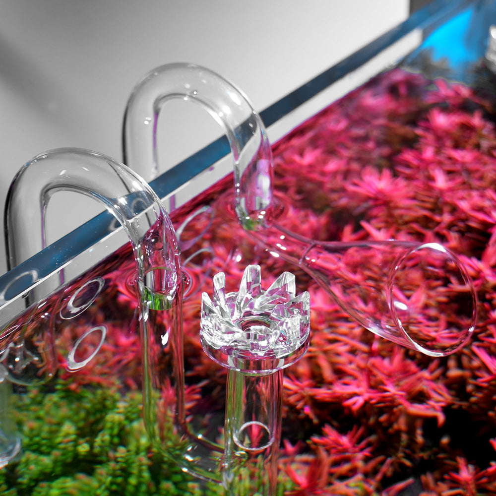 FZONE borosilicate glass construction with acrylic parts