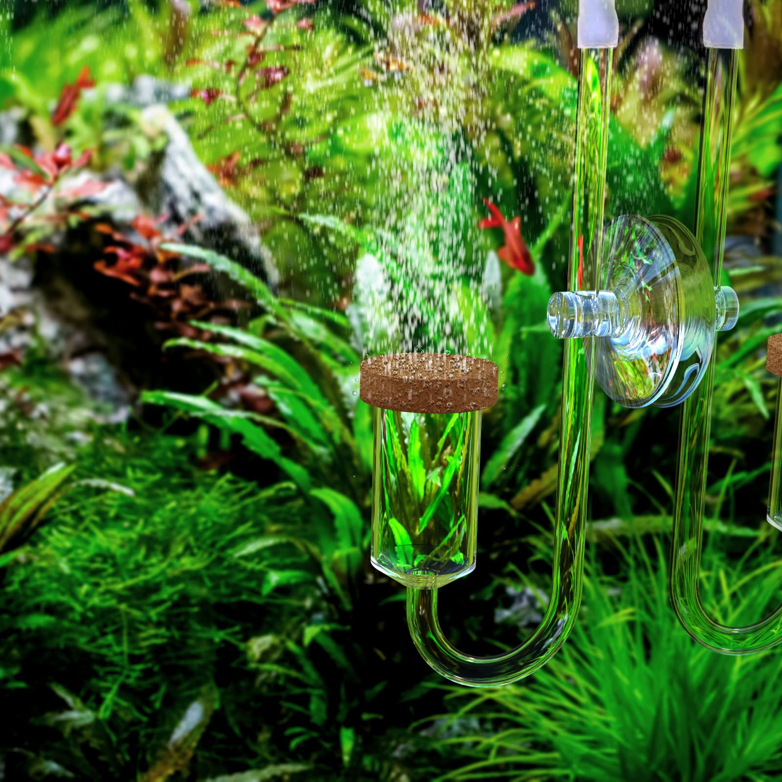 FZONE Neo CO2 diffuser features a transparent acrylic body for easy inspection.